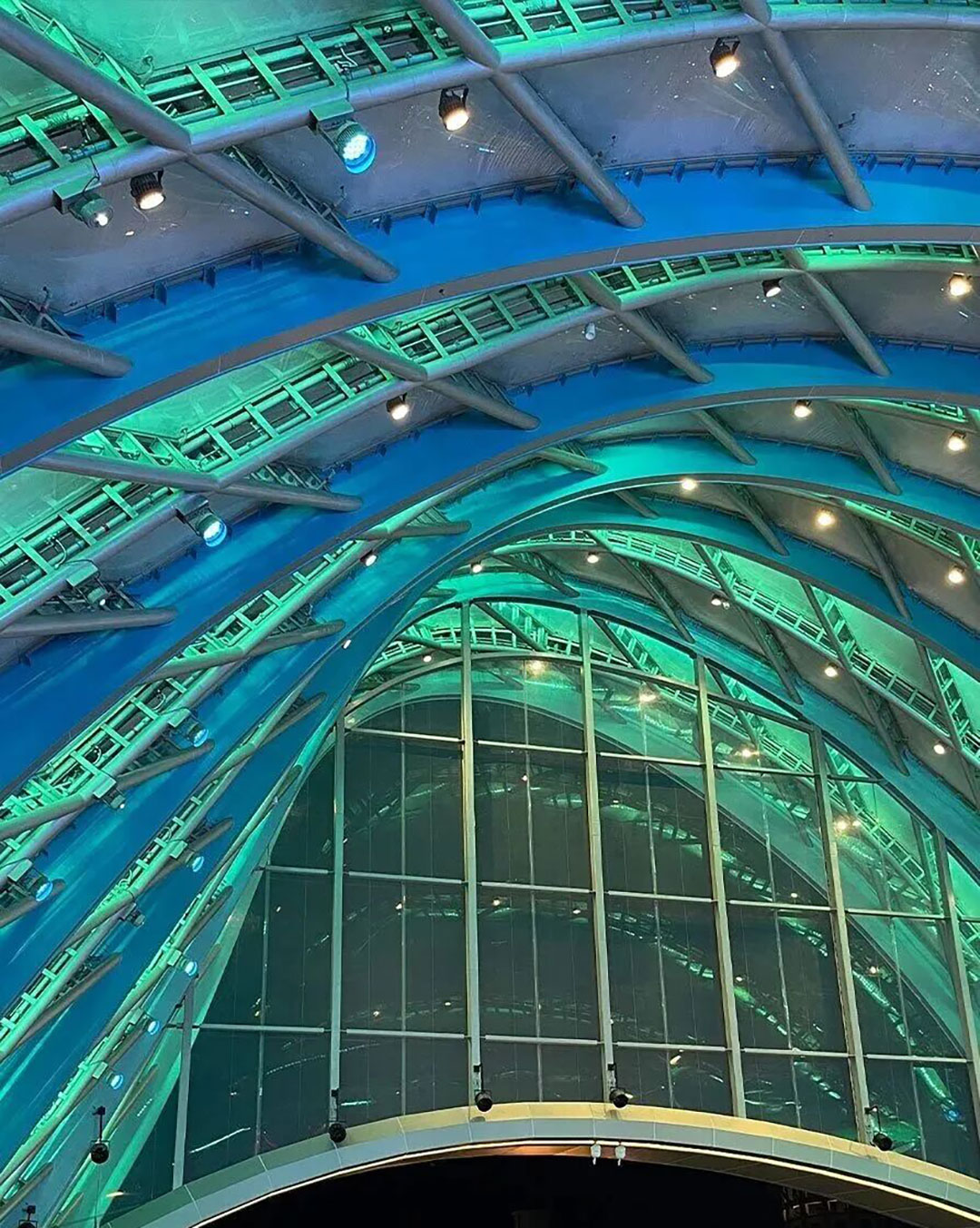 1761888649253054.jpg 640-(3).jpg