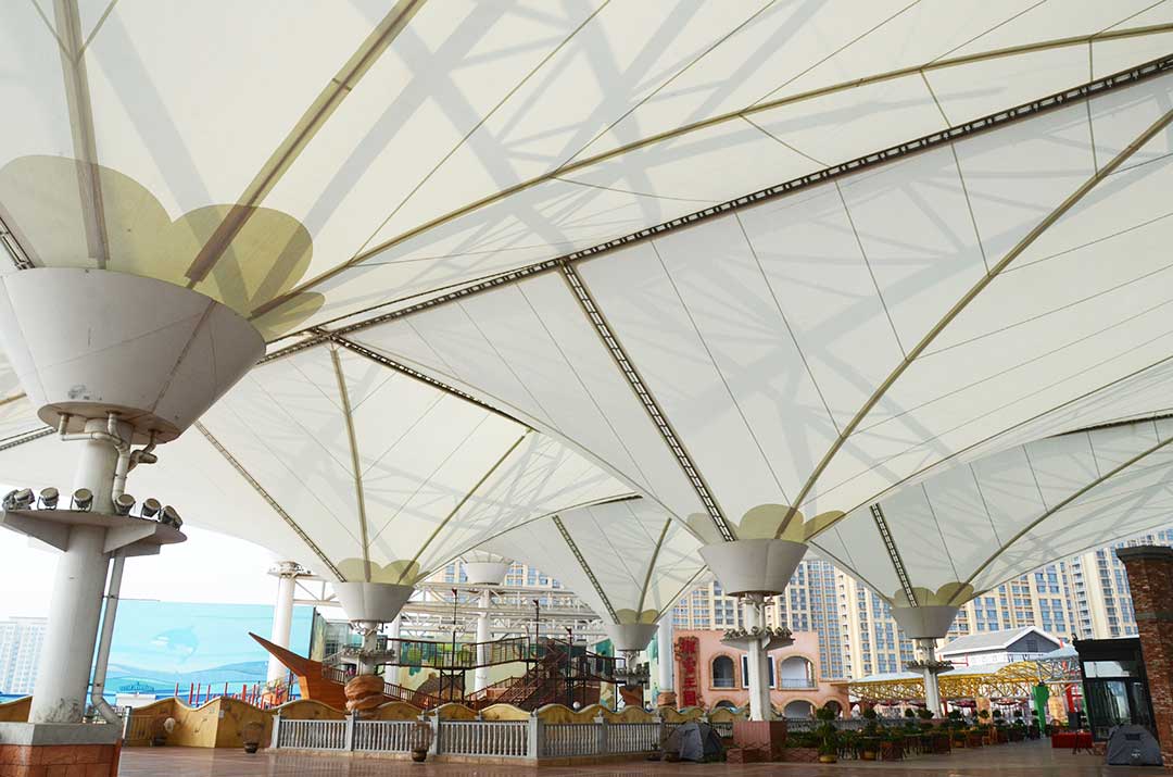 1764309928169091.jpg DSC_3912.jpg